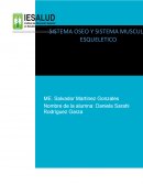 SISTEMA OSEO FRACTURA