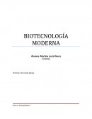 Biotecnología Moderna.