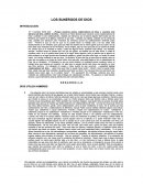 LOS SUNERGOS DE DIOS.