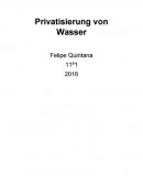 Privatisacion del agua.