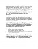 Todos sabemos que la contaminación afecta nuestra salud