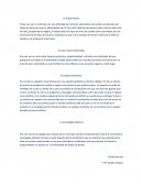 El Árbol Infinito - Ensayo