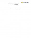 FORMATO PROPUESTA HASTA ALTERNATIVA CERRO DE LAS TRES CRUCES.