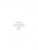 ESTUDIO DE PREFACTIBILIDAD.