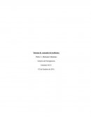 Control 3 gestion de emergencias.