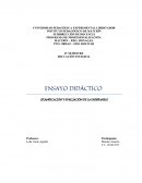 ENSAYO DIDÁCTICO (PLANIFICACIÓN Y EVALUACIÓN DE LA ENSEÑANZA)