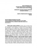 DISOLUCION DE CONCUBINATO.