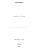 La planeación y el presupuesto