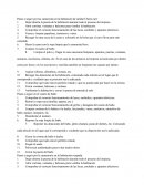 PROTOCOLO DE MANTENIMIENTO