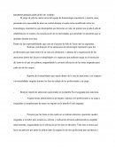 Jefe de turno. Cuarto turno UPC.