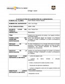 PLAN DE ACCIÓN DE ELABORACIÓN DE LA MONOGRAFÍA.