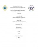 LOGÍSTICA Y CADENA DE SUMINISTRO.