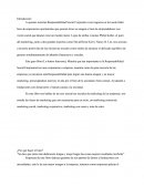 Responsabilidad Social Empresarial