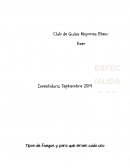 ESPECIALIDAD DE FUEGOS Y FOGATAS