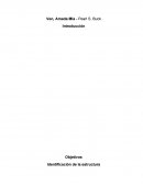 Informe de Libro Ven, Amada mia Pearl S Buck