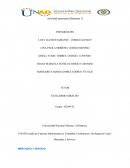 Actividad intermedia (Momento 1)