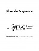 Plan de negocios. Empresa: PVC creation