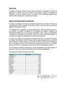 El objetivo del trabajo práctico es poder poner en práctica lo aprendido en el taller de Estadística, y además conocer más sobre el tema elegido: “Empleo no registrado en Argentina”