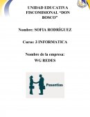 Actividad a la que se dedica: Prestar servicios eléctricos básicos y complementarios.