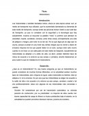 Ensayo sobre el motociclismo