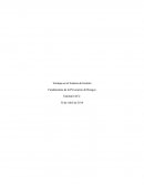 Ventajas en el Sistema de Gestión Fundamentos de la Prevención de Riesgos