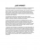 Integradora Orientacion etapa 3