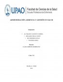 Administración, gerencia y gestión en salud