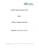 TAREA MATERIA: Investigación de Mercados