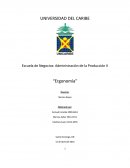 Escuela de Negocios: Administración de la Producción II “Ergonomía”