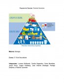Proyecto de Ciencias: Pirámide Alimenticia