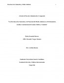 “Los Derechos de la Naturaleza y la Protección Del Medio Ambiente en el Ordenamiento Jurídico Constitucional de Ecuador, Bolivia y Colombia”