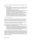 Laboratorio Biomecánica: Articulación Temporomandibular. ATM