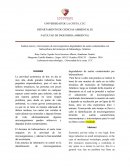 Análisis macro y microscópico de microorganismos degradadores de suelos contaminados con hidrocarburos del municipio de Sabanalarga- Atlántico