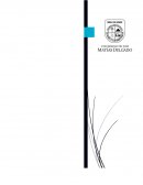 Planificación de la producción de la planta