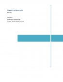 El éxito no llega solo