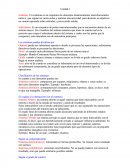 Sistemas y Organizaciones Unidad I