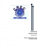 Armar un piloto (tester) y realizar la práctica de verificación de fusibles