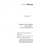 Análisis de caso generador de vapor mixto Taller de integración técnica
