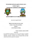 Practica de bovinos de carne