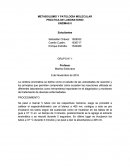 METABOLISMO Y PATOLOGÍA MOLECULAR PRÁCTICA DE LABORATORIO ENZIMAS II