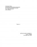 En este trabajo veremos lo que tenemos que tener encuenta si queremos exportar o importar, artículos y/o productos para negociar