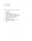 ESTRUCTURA DEL DOCUMENTO PLAN DE NEGOCIOS.