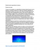 Reseña sobre espectáculo de danza Danza con luces