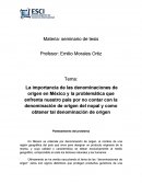 La importancia de las denominaciones de origen en México y la problemática que enfrenta nuestro país por no contar con la denominación de origen del nopal y como obtener tal denominación de origen