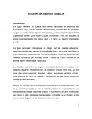 EL CUERPO DIPLOMÁTICO Y CONSULAR