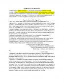 Reingeniería de la organización.