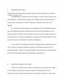 Toda persona, en el uso de su libertad, tiene que optar entre varias alternativas con el propósito de definir y orientar su vida.