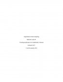 Seguridad de cloud computing.