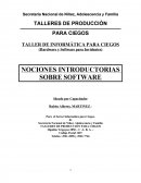 NOCIONES INTRODUCTORIAS SOBRE SOFTWARE.