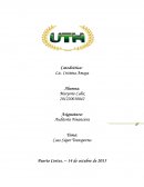 Caso Súper Transportes